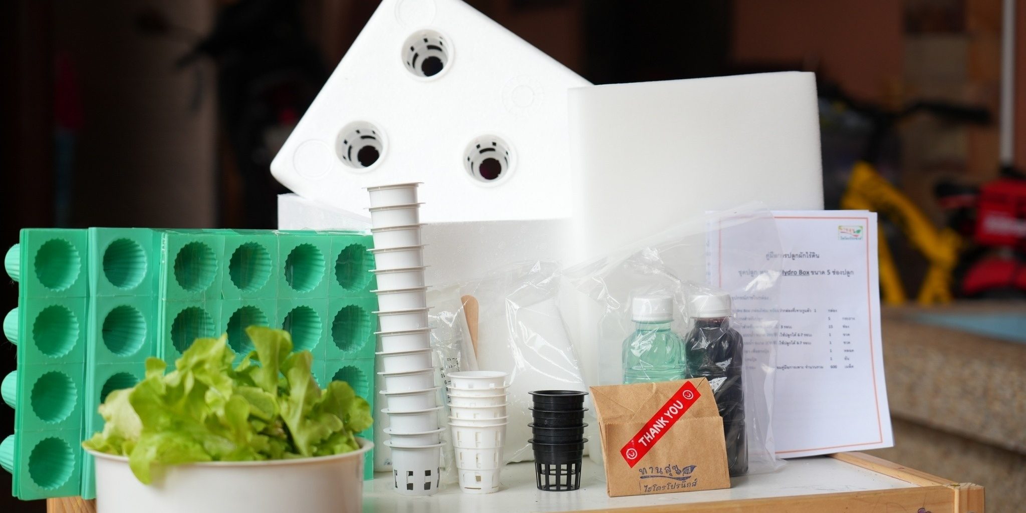 LINE_ALBUM_ประเภทสินค้าเกษตร_231117_3